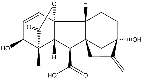 赤霉素GIBBERELLIC ACID，居然有這么神奇？